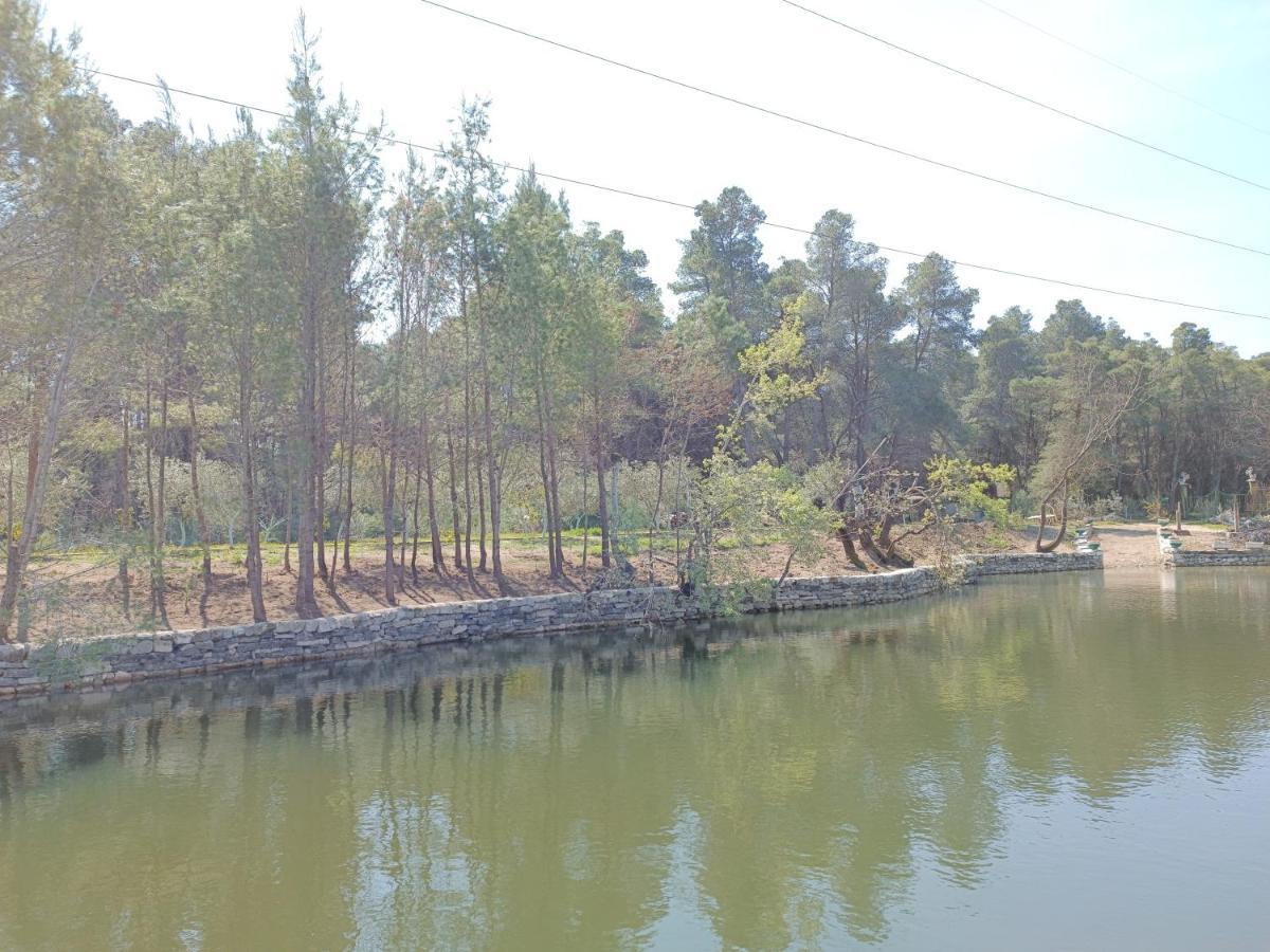 Hotel Kavalona Park Vlorë Esterno foto